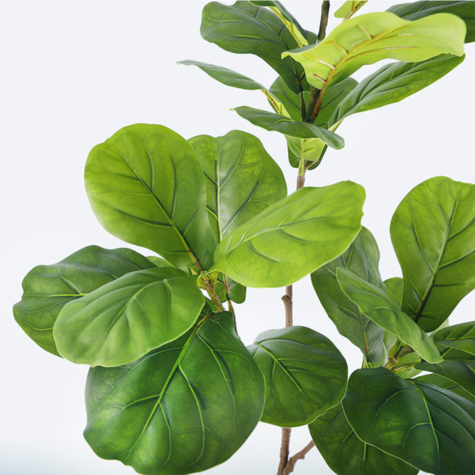 45-135cm  Artificial Fiddle Le – Fiddle Leaf Fig recenzja i cena