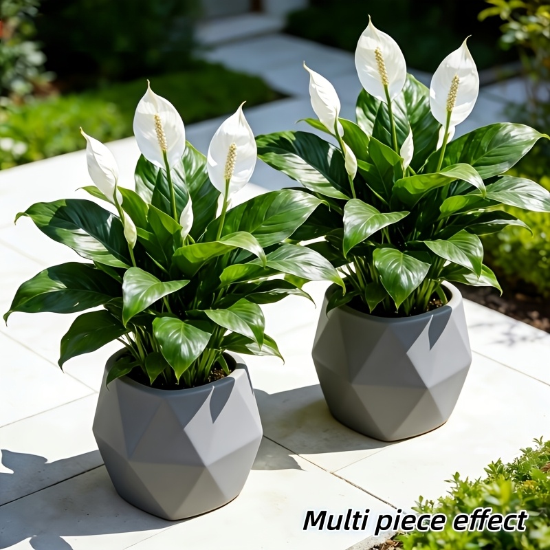 2 Pieces = 6 Flowers, Vase Not – Peace Lily White recenzja i cena