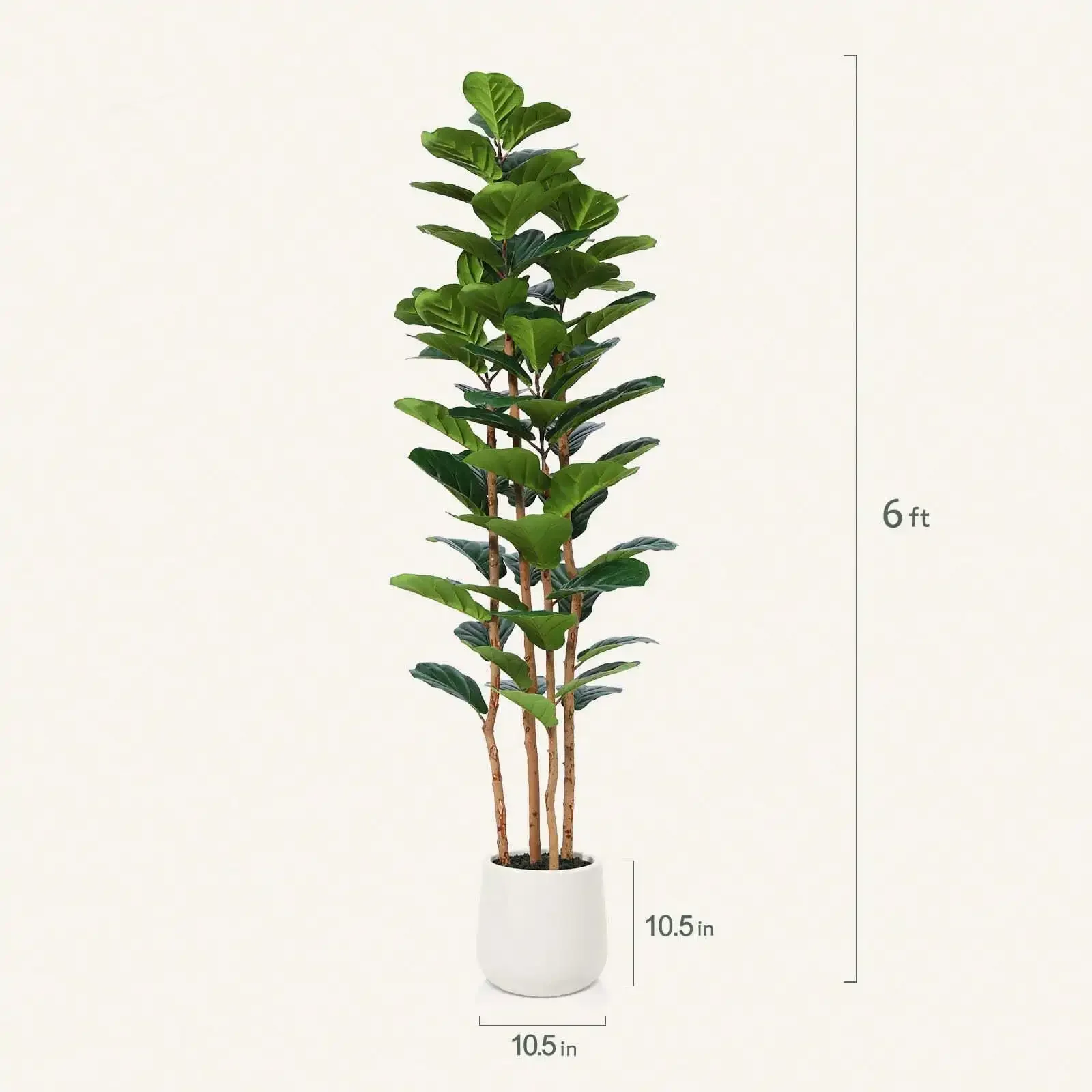 6FT Faux Fiddle Leaf Fig Tree  – Fiddle Leaf Fig recenzja i cena